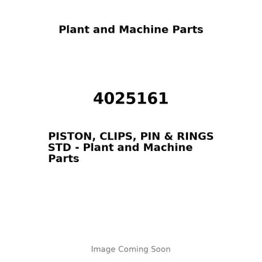 4025161 - PISTON, CLIPS, PIN & RINGS STD