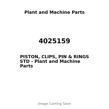 4025159 - PISTON, CLIPS, PIN & RINGS STD