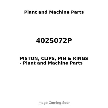 4025072P - PISTON, CLIPS, PIN & RINGS