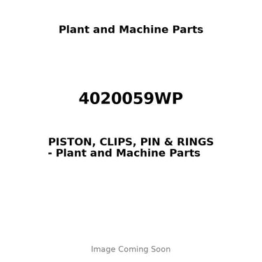 4020059WP - PISTON, CLIPS, PIN & RINGS