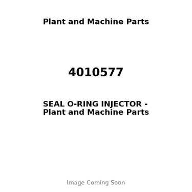 4010577 - SEAL O-RING INJECTOR