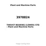 3978824 - THRUST BEARING (LOWER) STD