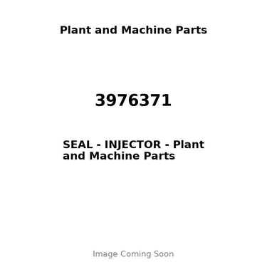 3976371 - SEAL - INJECTOR