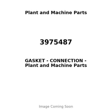 3975487 - GASKET - CONNECTION