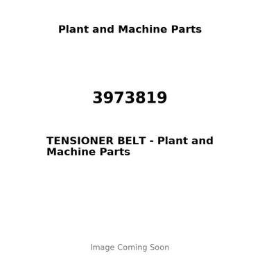 3973819 - TENSIONER BELT