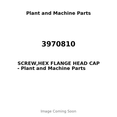 3970810 - SCREW,HEX FLANGE HEAD CAP