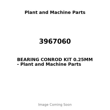 3967060 - BEARING CONROD KIT 0.25MM