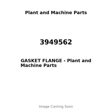 3949562 - GASKET FLANGE