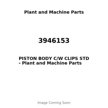 3946153 - PISTON BODY C/W CLIPS STD