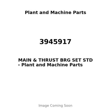 3945917 - MAIN & THRUST BRG SET STD