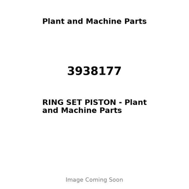 3938177 - RING SET PISTON