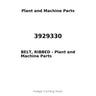 3929330 - BELT, RIBBED