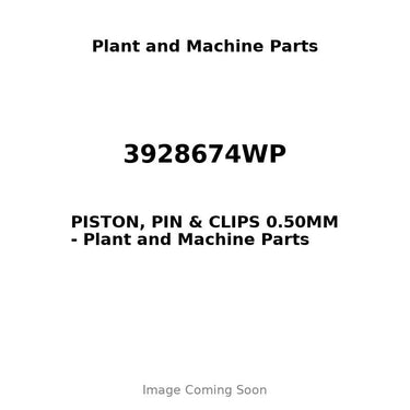 3928674WP - PISTON, PIN & CLIPS 0.50MM