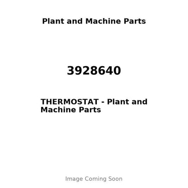 3928640 - THERMOSTAT