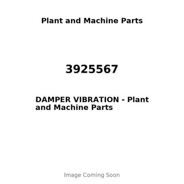 3925567 - DAMPER VIBRATION
