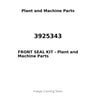 3925343 - FRONT SEAL KIT