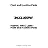 3923165WP - PISTON, PIN & CLIPS