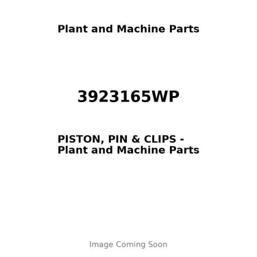 3923165WP - PISTON, PIN & CLIPS