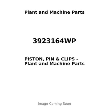 3923164WP - PISTON, PIN & CLIPS