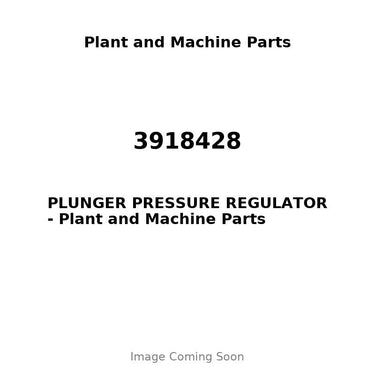 3918428 - PLUNGER PRESSURE REGULATOR