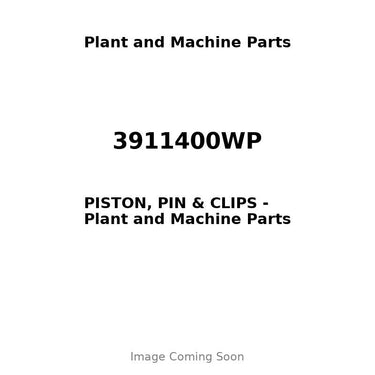 3911400WP - PISTON, PIN & CLIPS