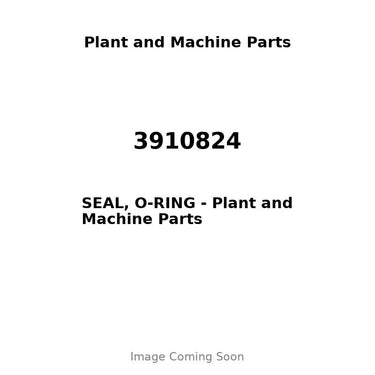 3910824 - SEAL, O-RING