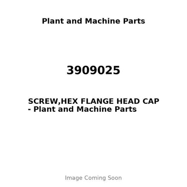 3909025 - SCREW,HEX FLANGE HEAD CAP