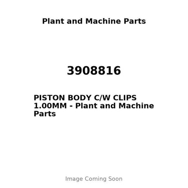 3908816 - PISTON BODY C/W CLIPS 1.00MM