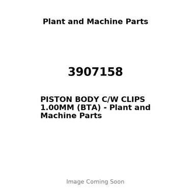 3907158 - PISTON BODY C/W CLIPS 1.00MM (BTA)