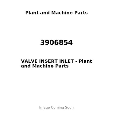 3906854 - VALVE INSERT INLET