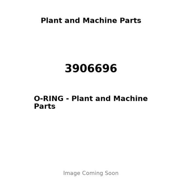 3906696 - O-RING