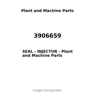 3906659 - SEAL - INJECTOR