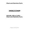 3906223WP - PISTON, PIN & CLIPS