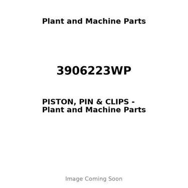 3906223WP - PISTON, PIN & CLIPS