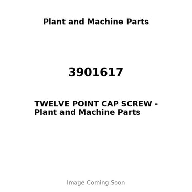 3901617 - TWELVE POINT CAP SCREW