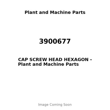 3900677 - CAP SCREW HEAD HEXAGON