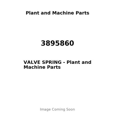 3895860 - VALVE SPRING