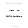 3893751WP - PISTON, PIN & CLIPS