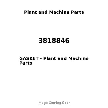 3818846 - GASKET