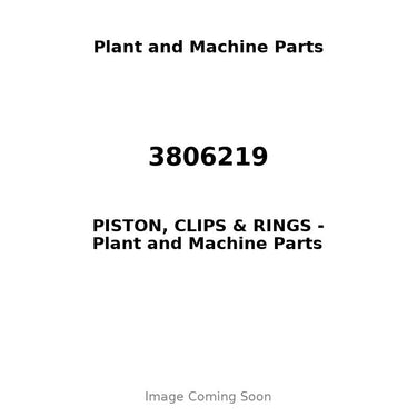 3806219 - PISTON, CLIPS & RINGS