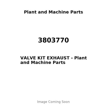 3803770 - VALVE KIT EXHAUST