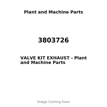 3803726 - VALVE KIT EXHAUST