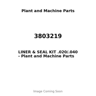 3803219 - LINER & SEAL KIT .020/.040