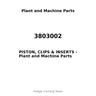 3803002 - PISTON, CLIPS & INSERTS