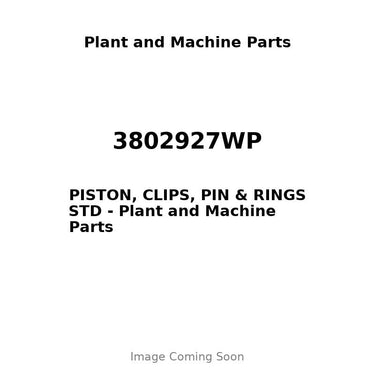 3802927WP - PISTON, CLIPS, PIN & RINGS STD