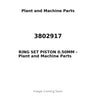 3802917 - RING SET PISTON 0.50MM
