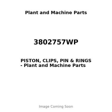 3802757WP - PISTON, CLIPS, PIN & RINGS