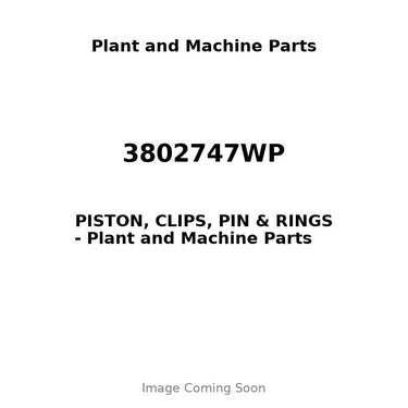 3802747WP - PISTON, CLIPS, PIN & RINGS