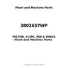 3802657WP - PISTON, CLIPS, PIN & RINGS
