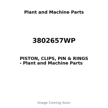 3802657WP - PISTON, CLIPS, PIN & RINGS